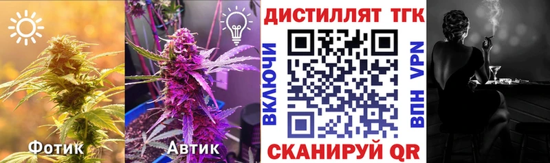 Дистиллят ТГК Wax  Купить закладки  Суровикино 