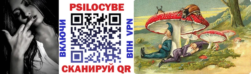 Галлюциногенные грибы MAGIC MUSHROOMS  Купить закладки  Суровикино 
